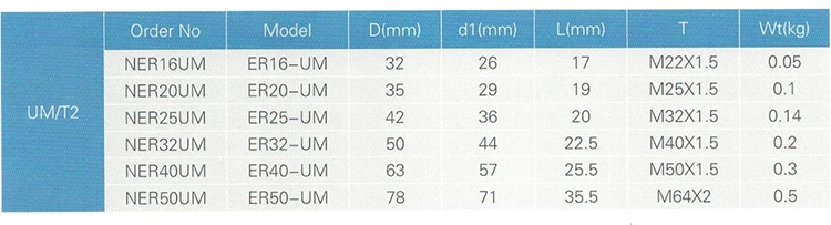 CNC Milling Machine Tools Um Nut Er16 Er20 Er25 Er40 Spring Clamping Nut with Factory Price